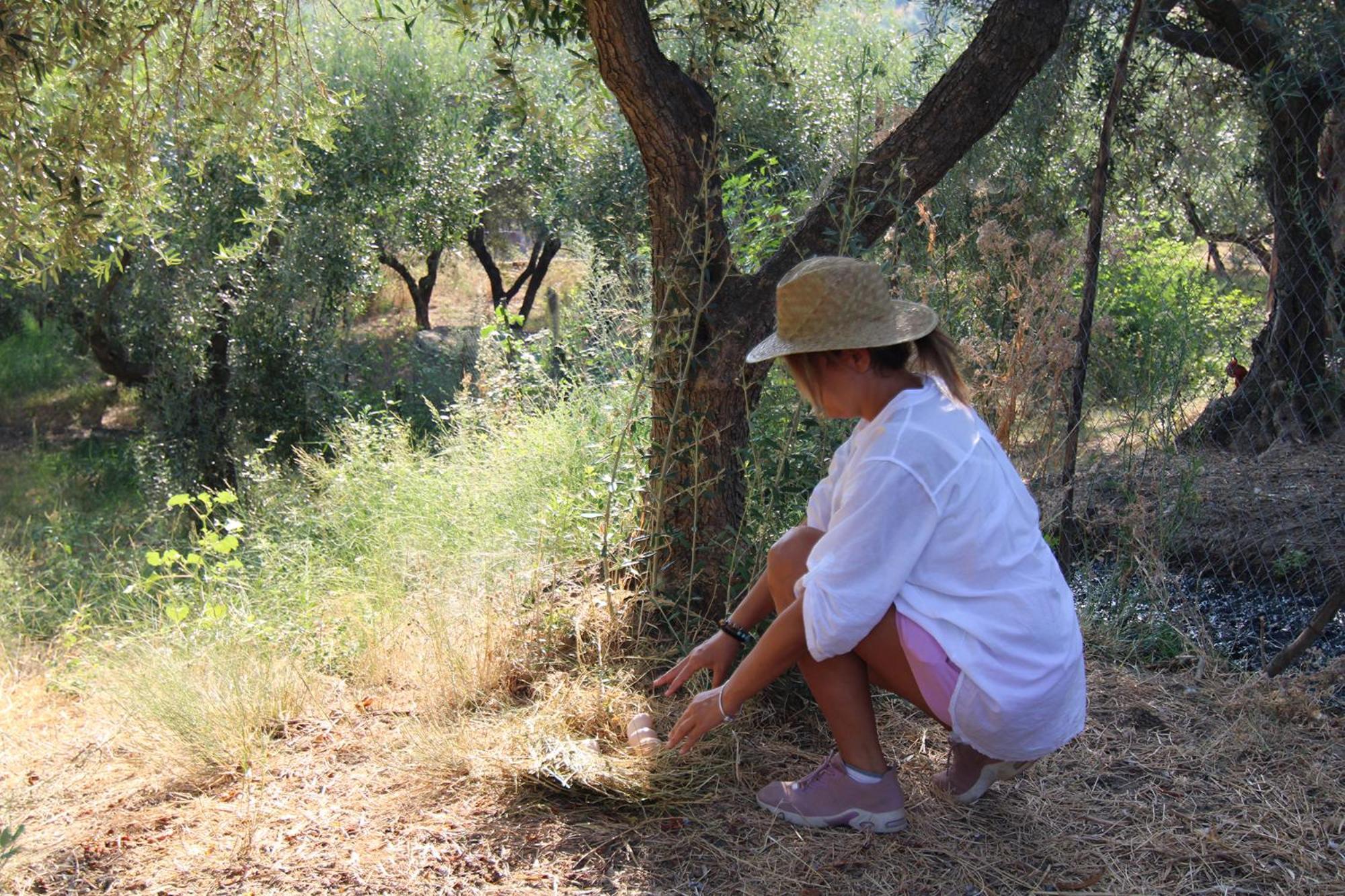 Agriturismo Vulcano Mirto Crosia Buitenkant foto